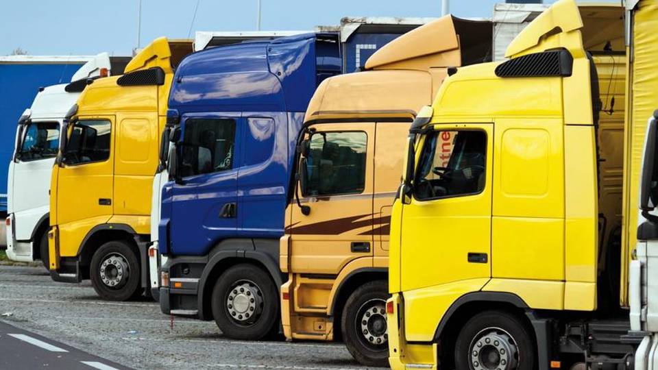 Razziavano merce dai tir nella notte Sette arresti, l’ultimo colpo a Dalmine Razziavano merce dai tir nella notte Sette arresti, l’ultimo colpo a Dalmine