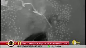 COLAZIONE CON RADIO ALTA