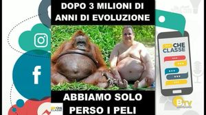 VIA NOVELLI SOCIAL CLUB