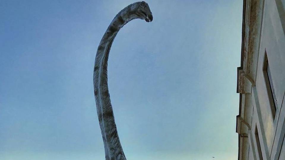 Bergamo come Jurassic Park - Video Dino alla finestra, in ospedale un T-Rex Bergamo come Jurassic Park - Video Dino alla finestra, in ospedale un T-Rex
