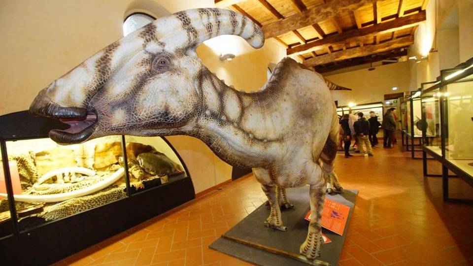 Tutti pazzi per dino: gli appuntamenti Al Caffi 2.100 visitatori in due giorni Tutti pazzi per dino: gli appuntamenti Al Caffi 2.100 visitatori in due giorni