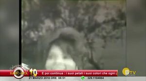 COLAZIONE CON RADIO ALTA