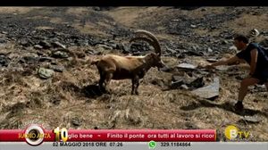 COLAZIONE CON RADIO ALTA