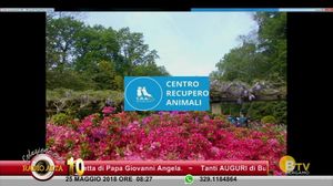 COLAZIONE CON RADIO ALTA