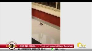 COLAZIONE CON RADIO ALTA