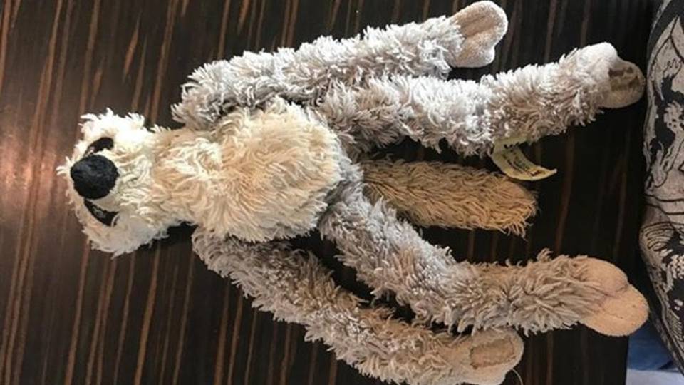 Peluche perso a Oriocenter Aiutiamo Lorenzo a ritrovarlo Peluche perso a Oriocenter Aiutiamo Lorenzo a ritrovarlo
