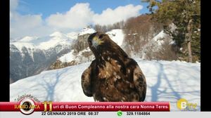 COLAZIONE CON RADIO ALTA