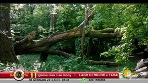 COLAZIONE CON RADIO ALTA