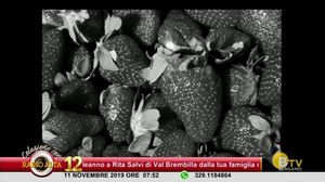 COLAZIONE CON RADIO ALTA