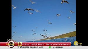 COLAZIONE CON RADIO ALTA