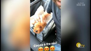 VIA NOVELLI SOCIAL CLUB