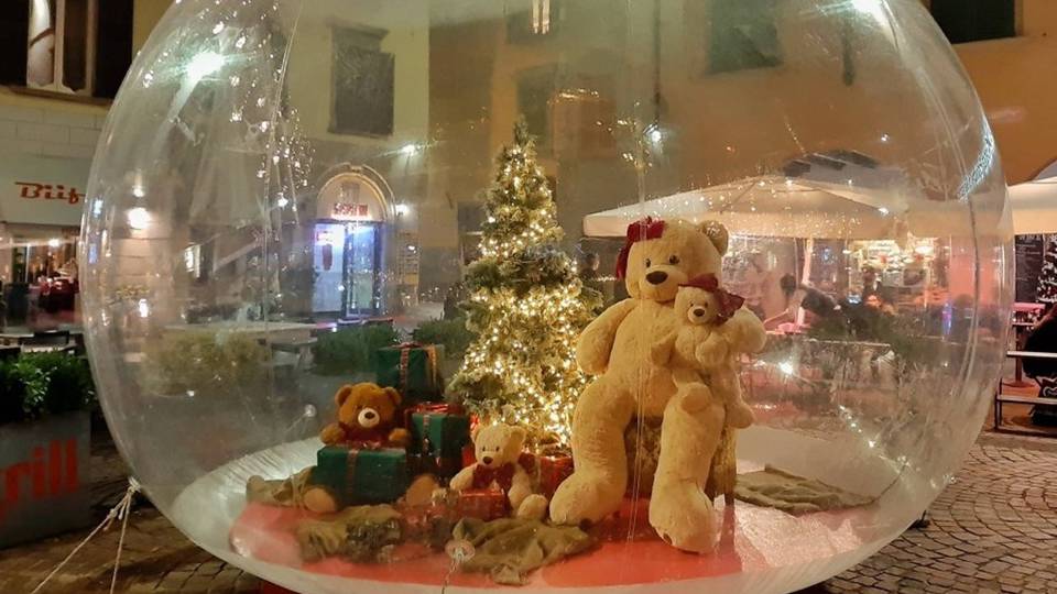 Piazza Pontida, rubato il peluche di Natale «Aiutateci a trovare Signor Orso» Piazza Pontida, rubato il peluche di Natale «Aiutateci a trovare Signor Orso»