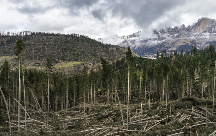 «140 km/h», il vento distruttore nelle foto di Rocco Fidanza
