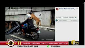 COLAZIONE CON RADIO ALTA