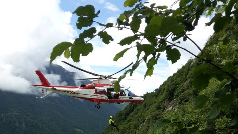 Cane precipita nel burrone Salvato dall’elicottero dei pompieri Cane precipita nel burrone Salvato dall’elicottero dei pompieri