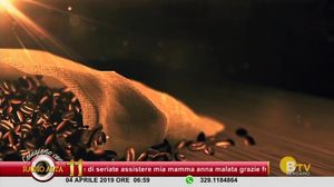 COLAZIONE CON RADIO ALTA