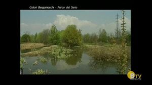 COLAZIONE CON RADIO ALTA