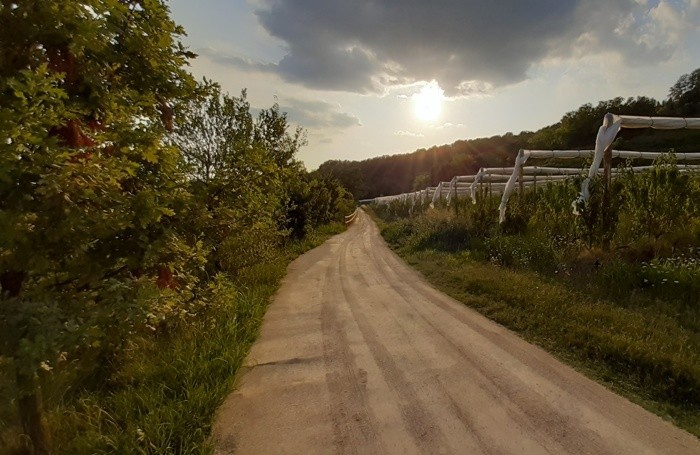 La pista che da Astino porta alla Madonna del Bosco