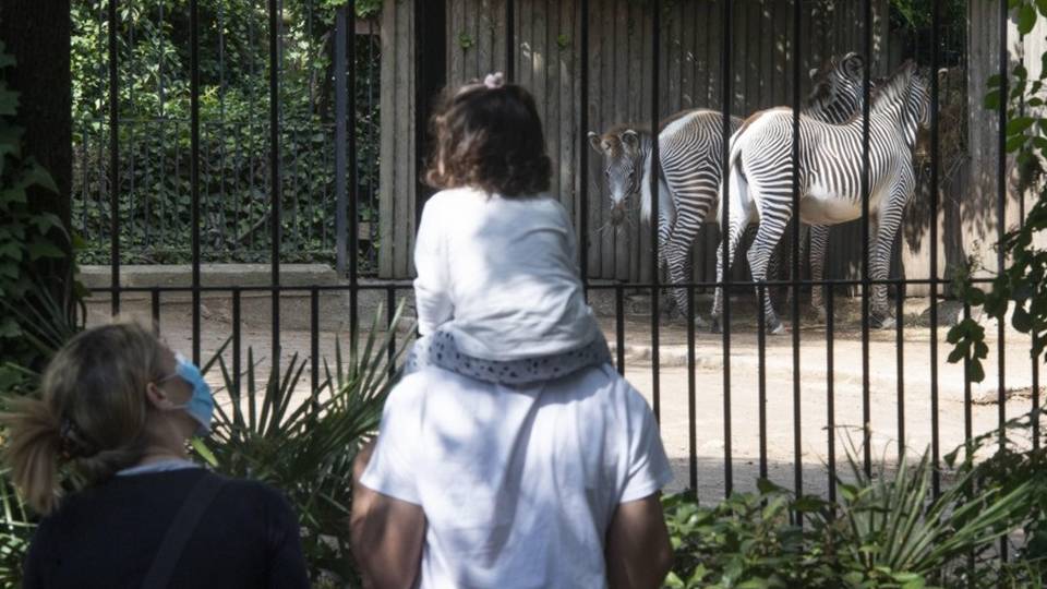 Assegno unico figli da luglio In media sarà di 200 euro Assegno unico figli da luglio In media sarà di 200 euro