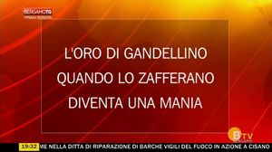 BERGAMO TG