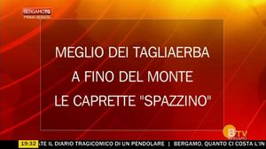 BERGAMO TG