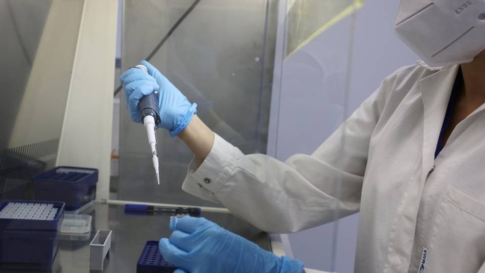 Scuole, 3.170 tamponi in una settimana I positivi sono 132, in quarantena 52 classi Scuole, 3.170 tamponi in una settimana I positivi sono 132, in quarantena 52 classi