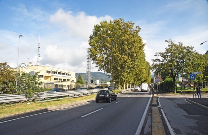 Oggi