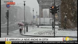 BERGAMO TG ORE12