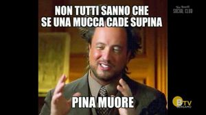 VIA NOVELLI SOCIAL CLUB