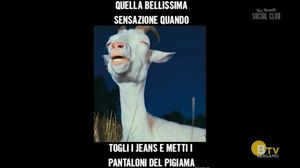 VIA NOVELLI SOCIAL CLUB