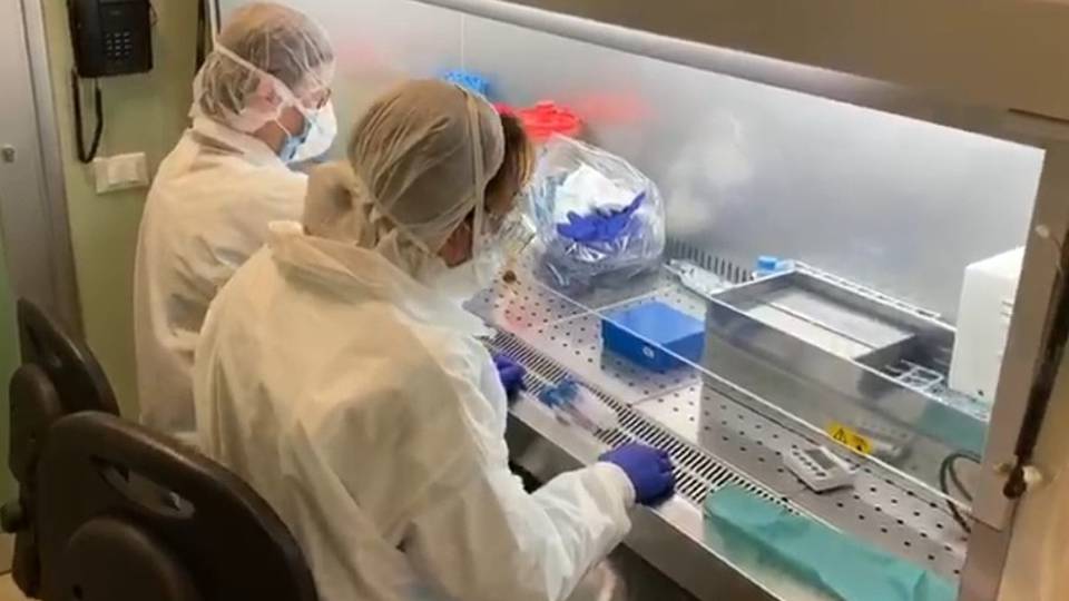 Un farmaco contro il coronavirus Ecco su cosa lavora il «Mario Negri» Un farmaco contro il coronavirus Ecco su cosa lavora il «Mario Negri»