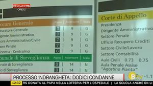 BERGAMO TG ORE12