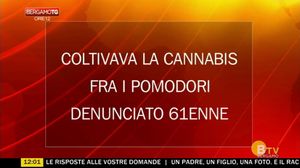 BERGAMO TG ORE12
