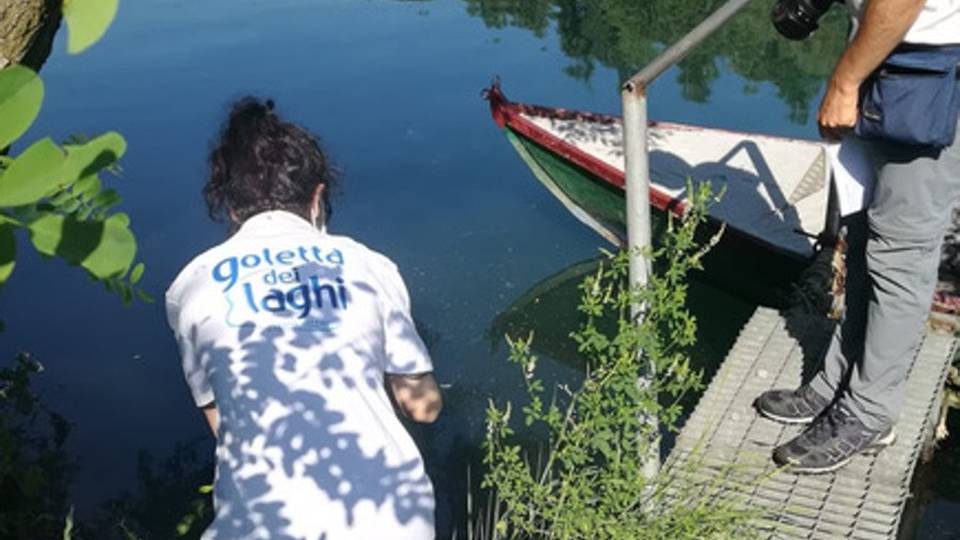 La Goletta dei laghi nel Sebino Sponda orobica ok, acque eccellenti La Goletta dei laghi nel Sebino Sponda orobica ok, acque eccellenti
