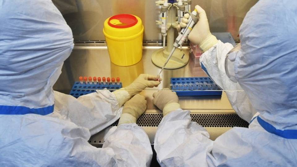 Il virus sta perdendo i pezzi «Più difficoltà a replicarsi» Il virus sta perdendo i pezzi «Più difficoltà a replicarsi»
