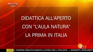 BERGAMO TG ORE12