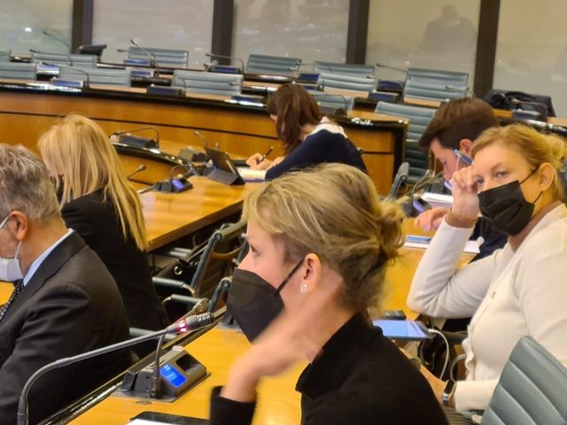 CRV - Sesta commissione - CRV - Sesta commissione -