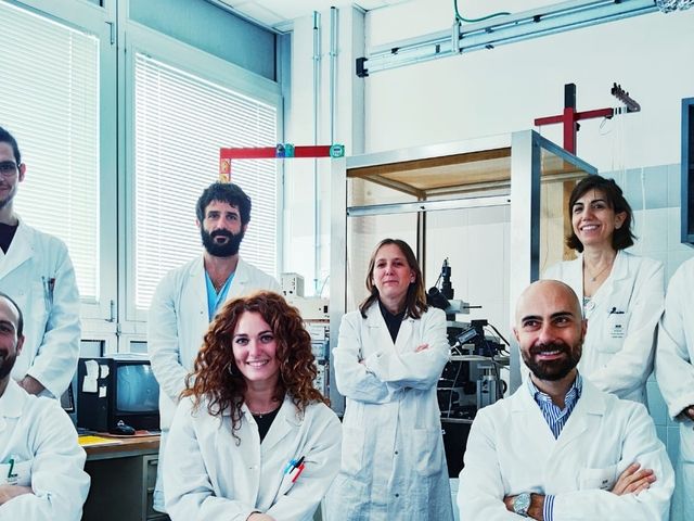 Ricerca Unipg scopre nuovo potenziale meccanismo alla base della disabilità nella sclerosi multipla Ricerca Unipg scopre nuovo potenziale meccanismo alla base della disabilità nella sclerosi multipla