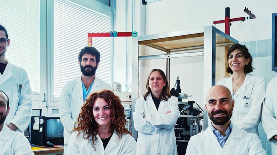 Ricerca Unipg scopre nuovo potenziale meccanismo alla base della disabilità nella sclerosi multipla Ricerca Unipg scopre nuovo potenziale meccanismo alla base della disabilità nella sclerosi multipla