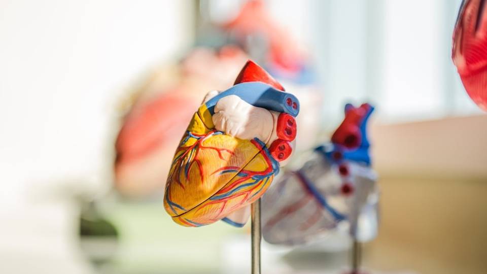 Dopo il Covid in forma grave «C’è il rischio di danni al cuore» Dopo il Covid in forma grave «C’è il rischio di danni al cuore»