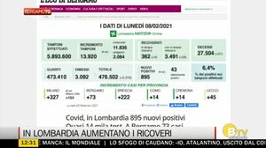 BERGAMO TG ORE12