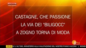 BERGAMO TG