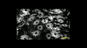 COLAZIONE CON RADIO ALTA