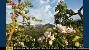 BERGAMO TG
