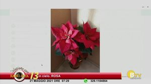 COLAZIONE CON RADIO ALTA