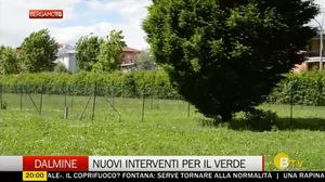 BERGAMO TG