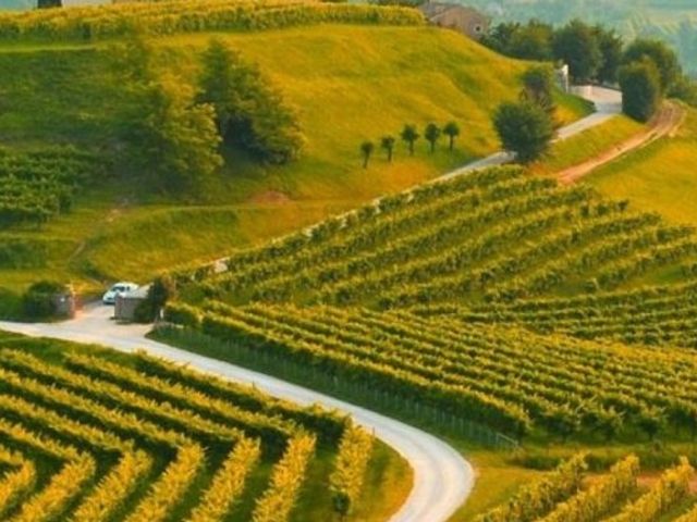 CRV - Via libera all'istituzione della Giornata per la collina veneta CRV - Via libera all'istituzione della Giornata per la collina veneta