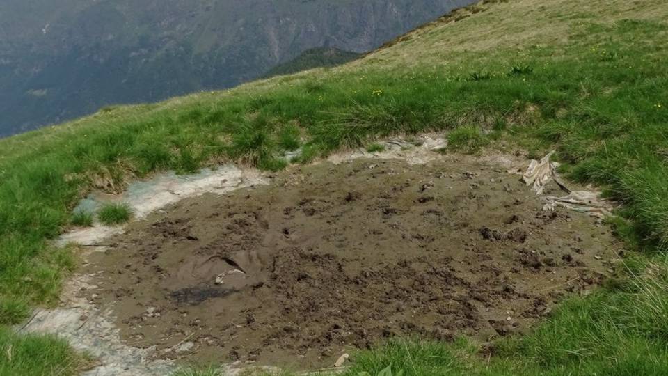 Funghi, stagione difficile senza piogge. E la grandine ha rovinato le fioriture Funghi, stagione difficile senza piogge. E la grandine ha rovinato le fioriture
