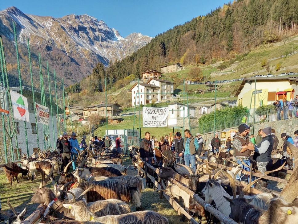 Un momento della fiera a Valgoglio
