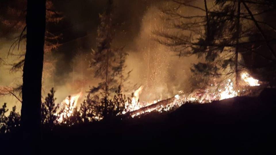 Fiamme tra il bosco e i pascoli sopra Valgoglio Fiamme tra il bosco e i pascoli sopra Valgoglio